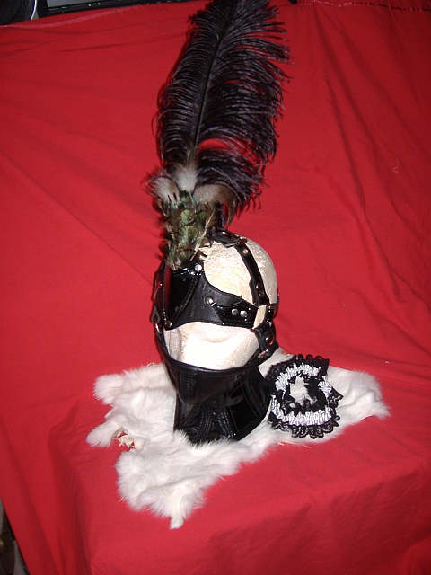 ponyplay gear